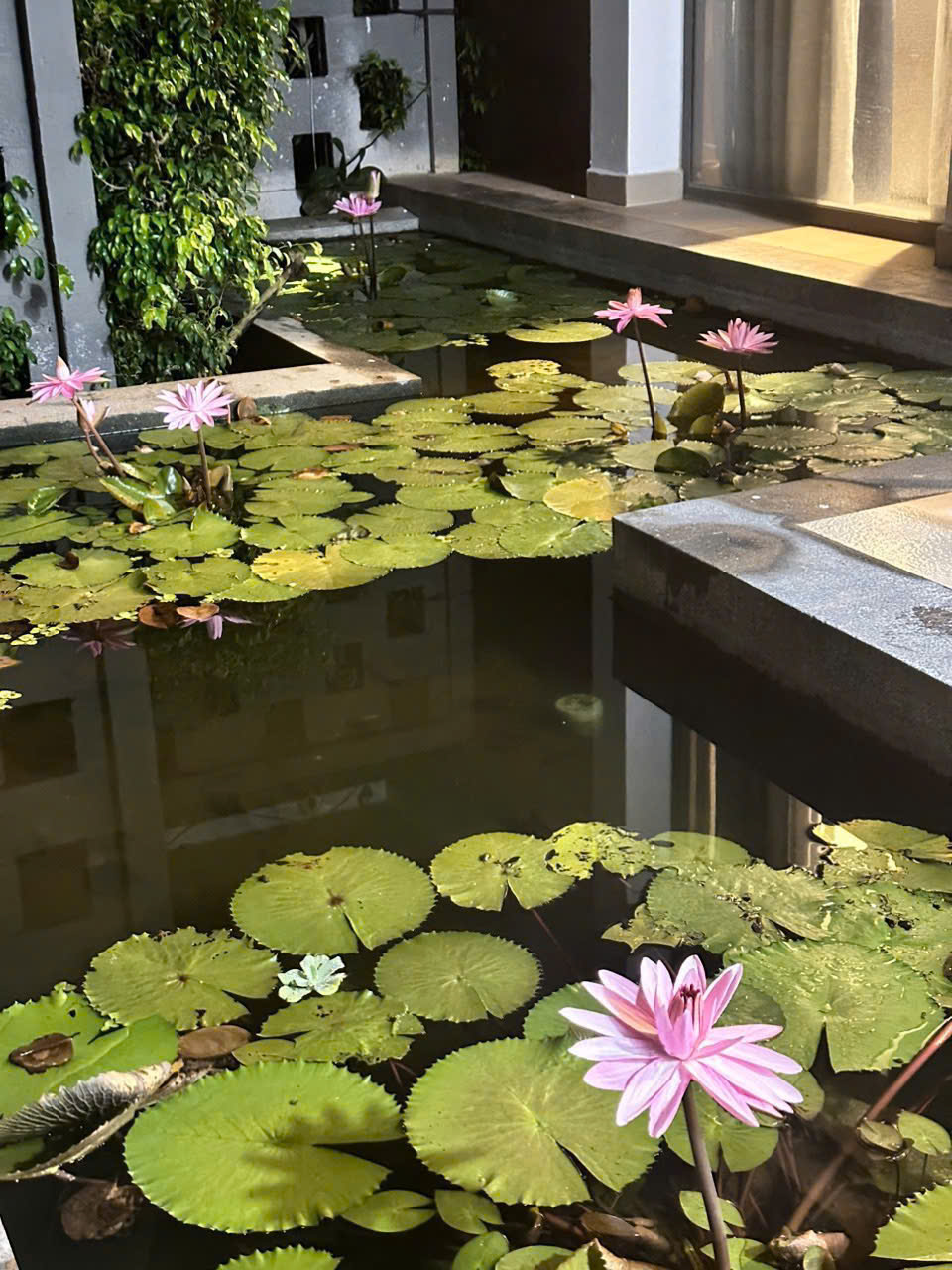 Villa 3 phòng - Oceanami Long Hải