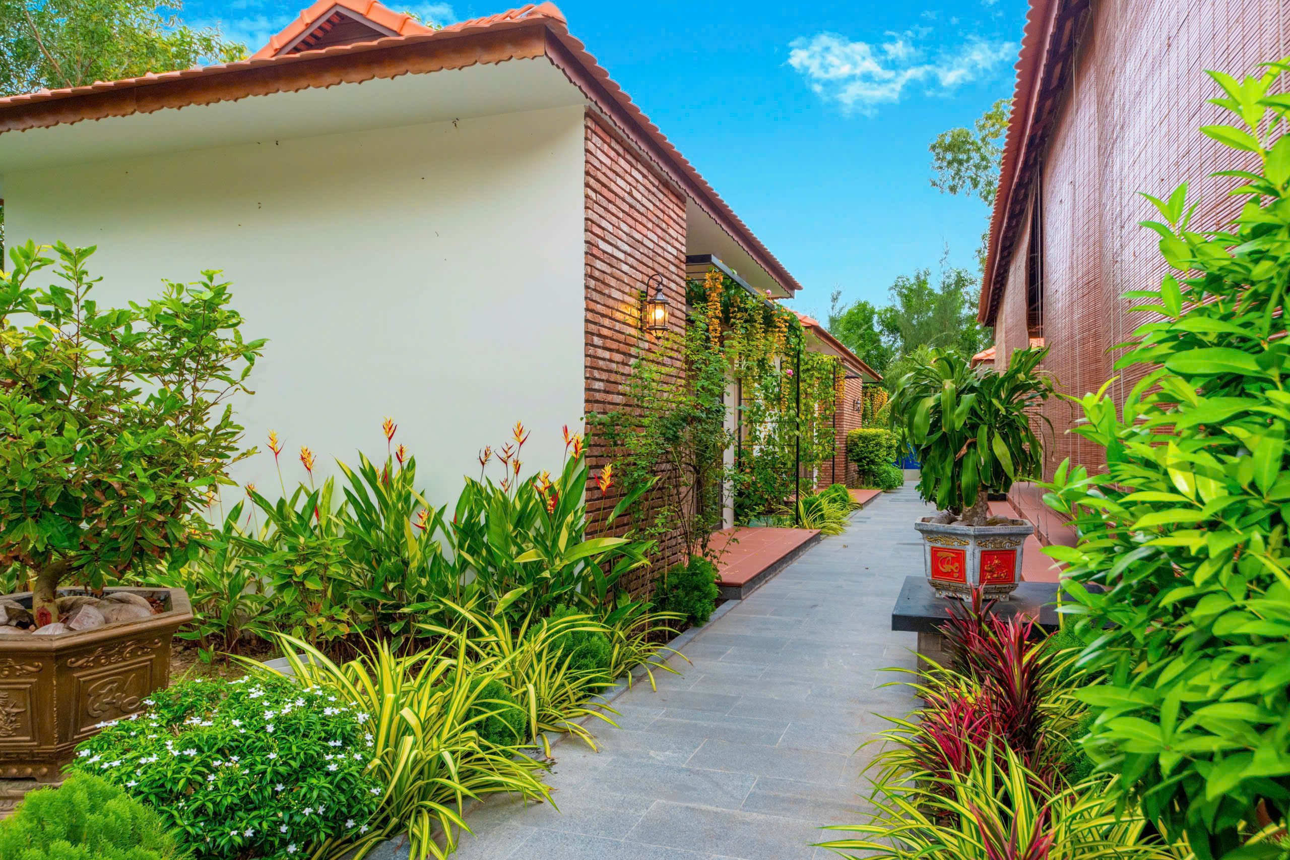 Villa Long Hải sát biển - Sân vườn 1000m² hiếm có cho kỳ nghỉ trọn vẹn